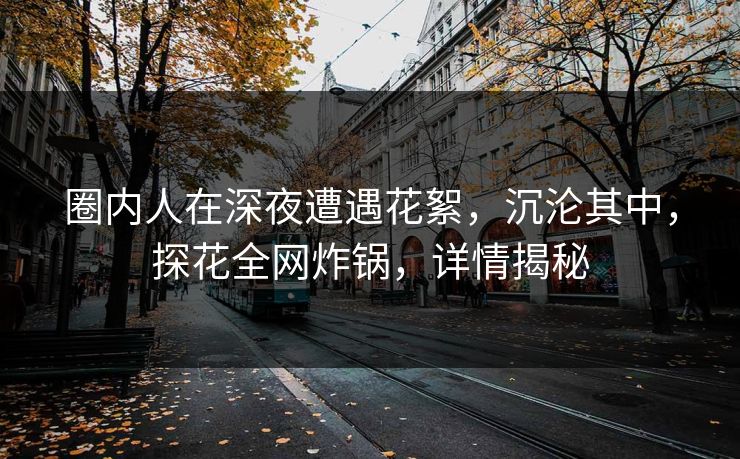 圈内人在深夜遭遇花絮，沉沦其中，探花全网炸锅，详情揭秘