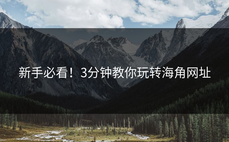 新手必看！3分钟教你玩转海角网址