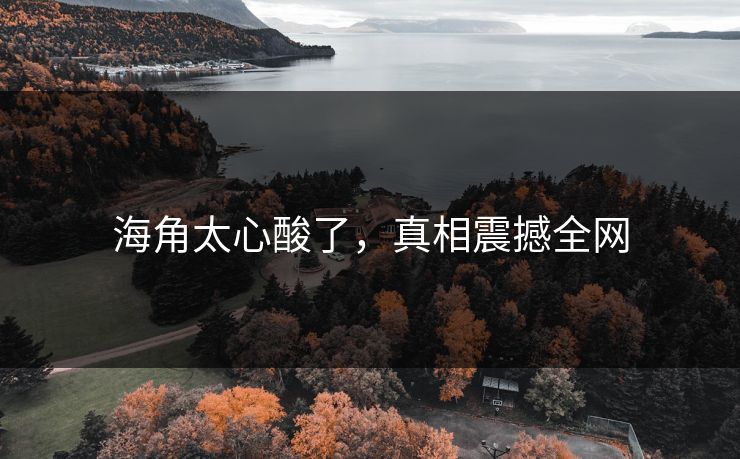 海角太心酸了，真相震撼全网