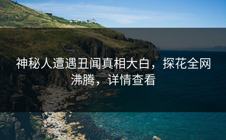 神秘人遭遇丑闻真相大白，探花全网沸腾，详情查看