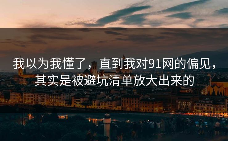 我以为我懂了，直到我对91网的偏见，其实是被避坑清单放大出来的